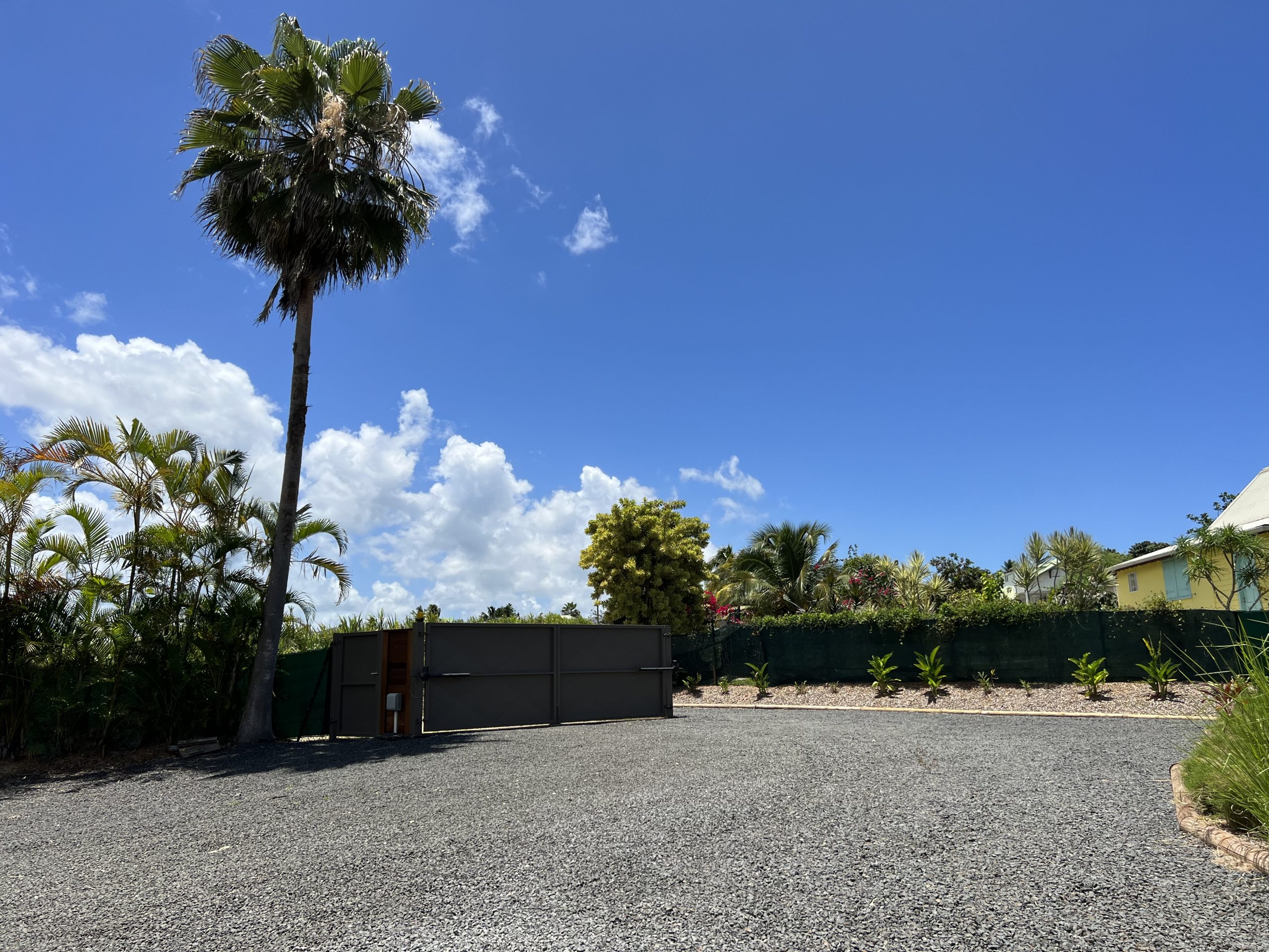 Paradise8