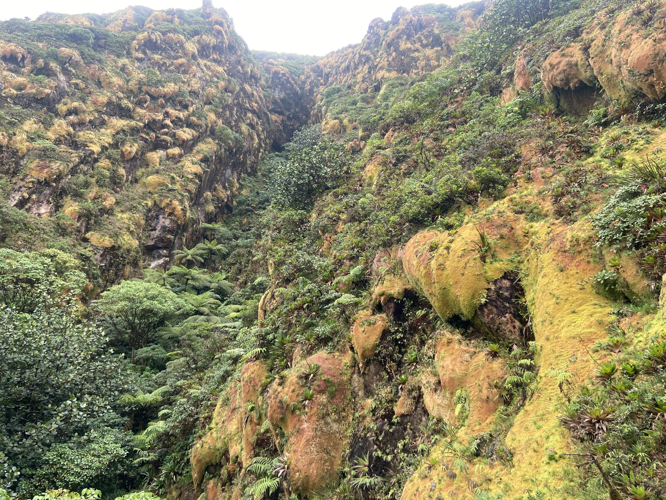 Vue numéro trois de la randonnée à la Soufrière