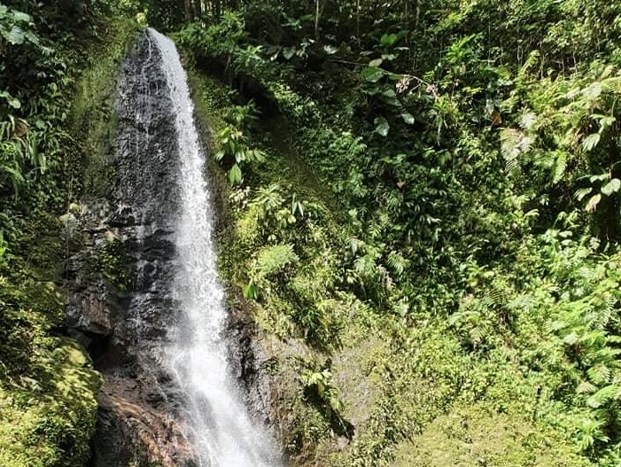 Découvrez la Cascade de Bois Banane au départ de Ravine Chaude.