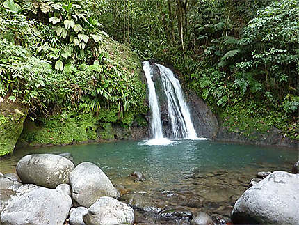 Explorez la Route de la Traversée et la Cascade aux Écrevisses.