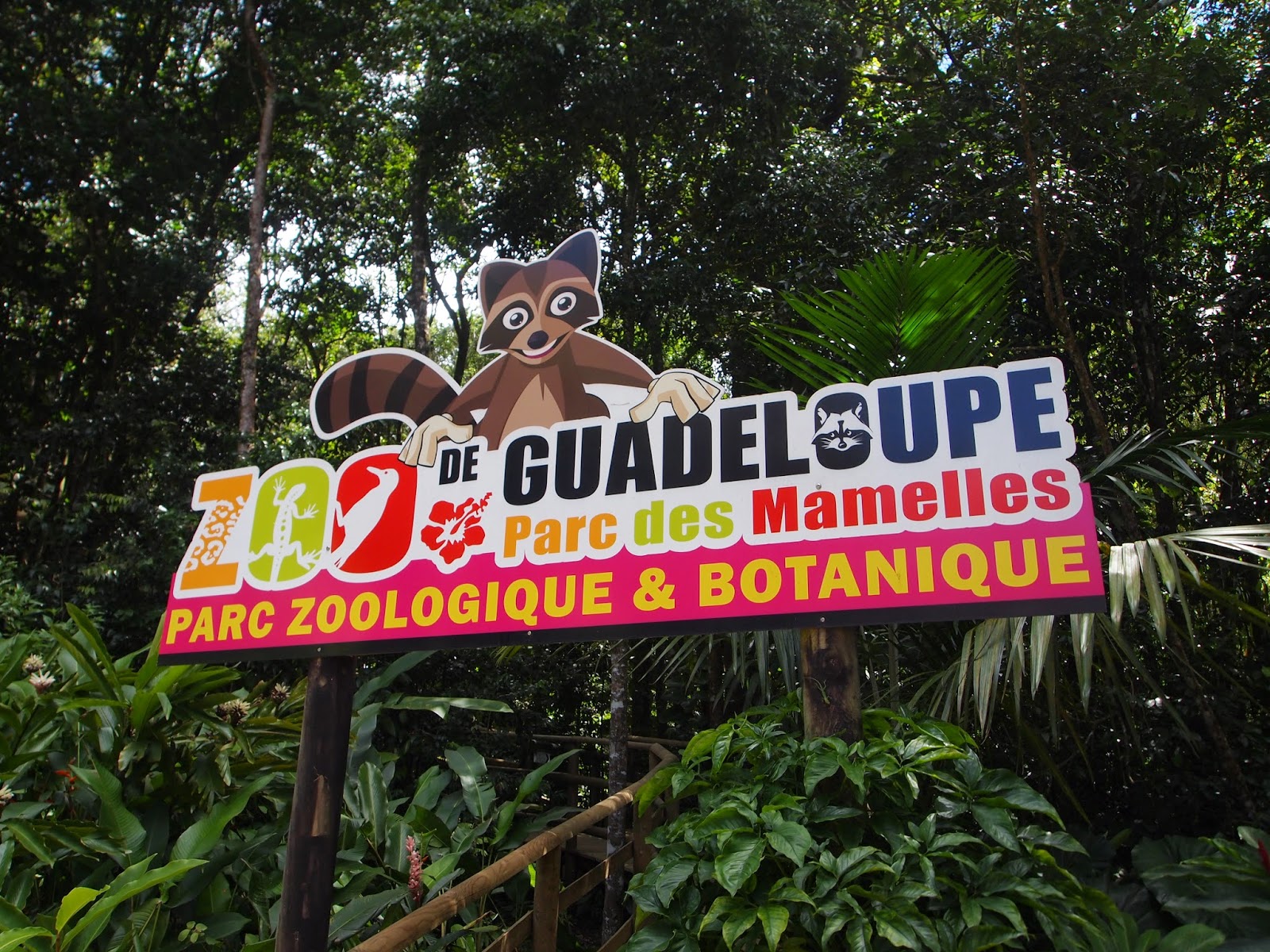 Rencontrez la faune au Parc des Mamelles.