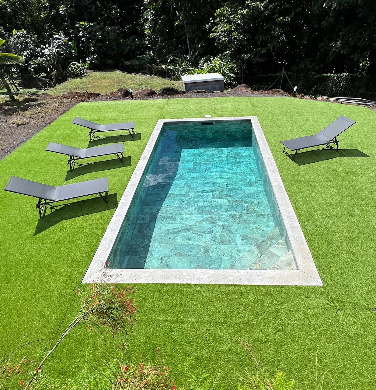 Piscine-Bois-Banane1